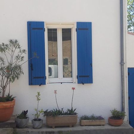 Maison Occitane Saint-Nazaire-d'Aude 외부 사진